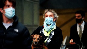 Nema ptičjeg gripa u Srbiji